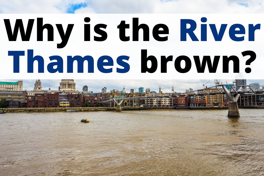 River Thames Search: Urgent Appeal After Girl, 11, Falls Into Water