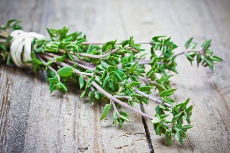 Rosemary & Thyme: A Culinary Guide To Flavor