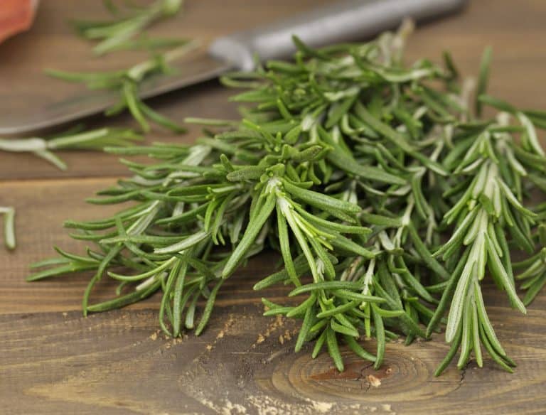 Rosemary & Thyme Blends: Creating Unique Flavor Combinations Rosemary & Thyme Blends: Creating Unique Flavor Combinations
