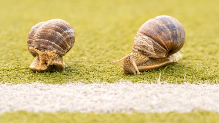 Saisonende Bundesliga: Abstieg Für Bochum Und Holstein Kiel, Leipzig Ohne Champions League Saisonende Bundesliga: Abstieg Für Bochum Und Holstein Kiel, Leipzig Ohne Champions League