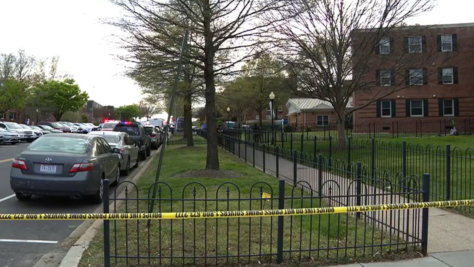 Sarah Milgrim: Identifying The Second Victim Of The DC Shooting Sarah Milgrim: Identifying The Second Victim Of The DC Shooting