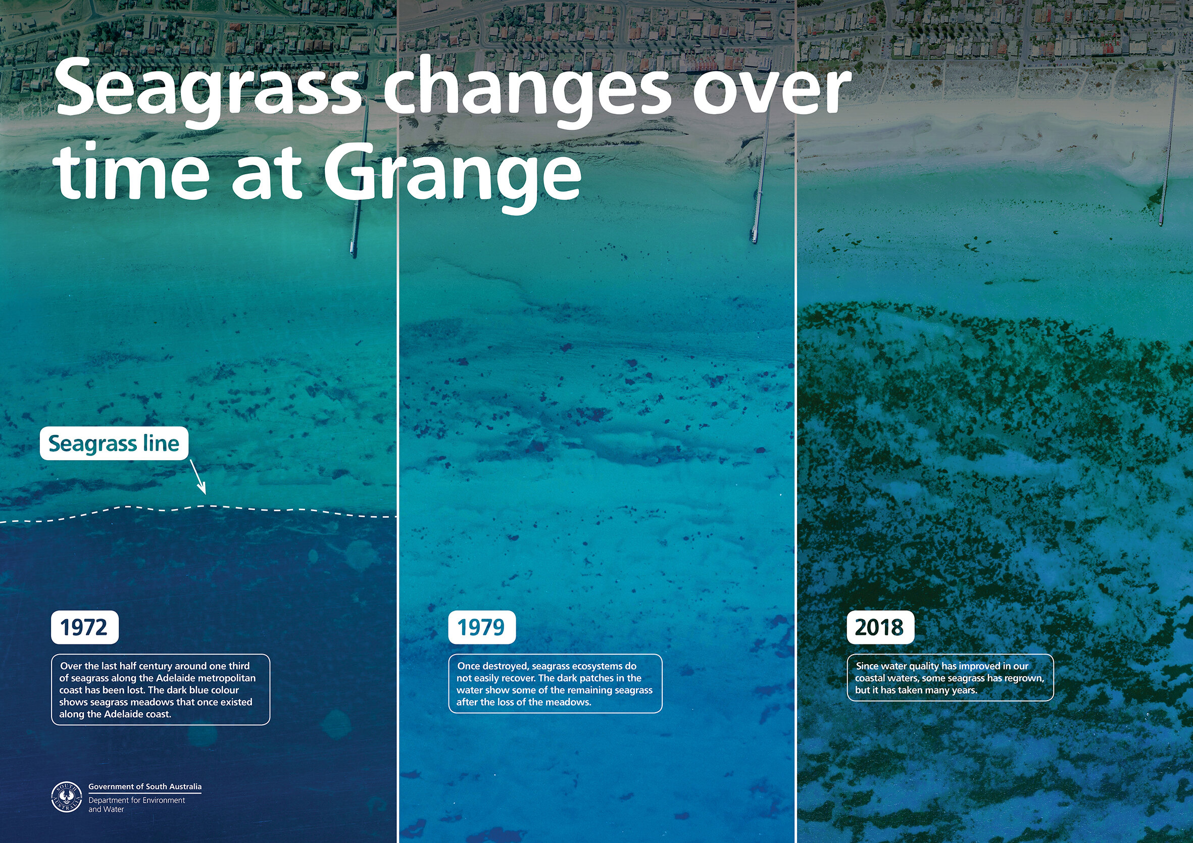 Seagrass Restoration: Bids And Projects Along Scotland's Coast Seagrass Restoration: Bids And Projects Along Scotland's Coast