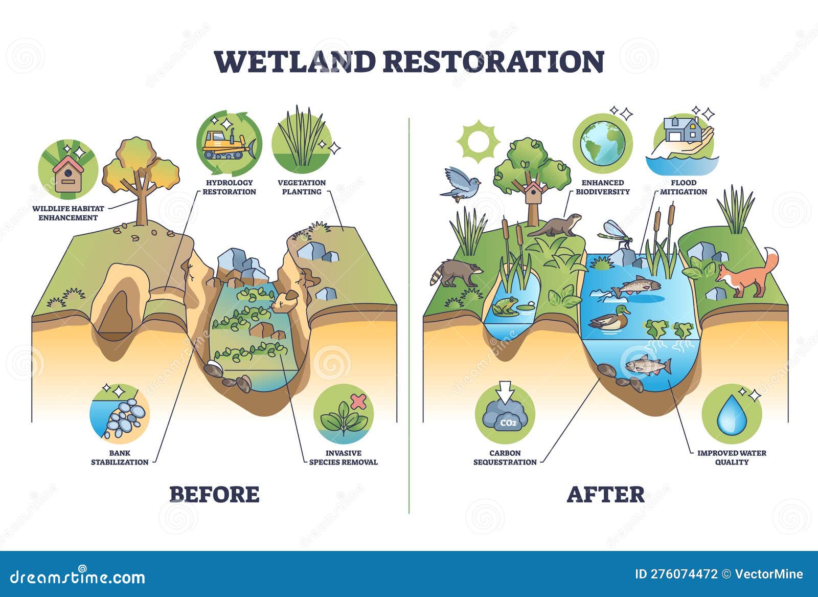 Seagrass Restoration Bids: Reviving Scotland's Coastal Ecosystems Seagrass Restoration Bids: Reviving Scotland's Coastal Ecosystems