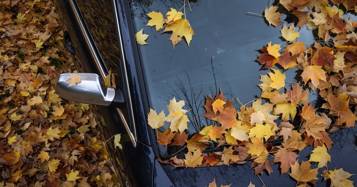 Seattle Weather Forecast: Rain Through The Weekend