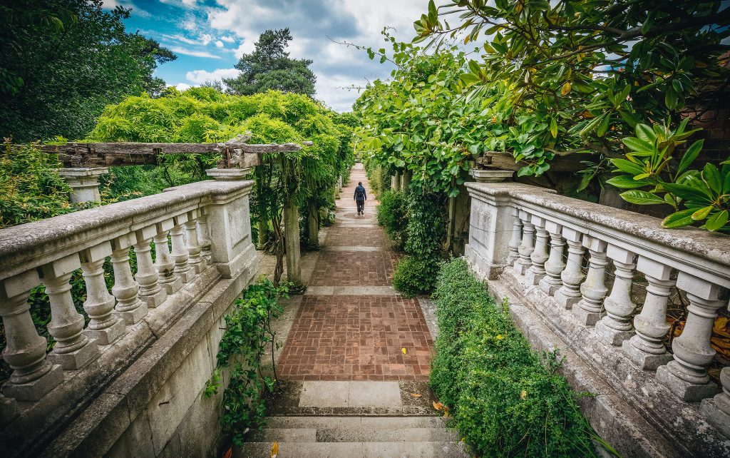 Seattle's Green Spaces: A Haven During The Early Pandemic Seattle's Green Spaces: A Haven During The Early Pandemic