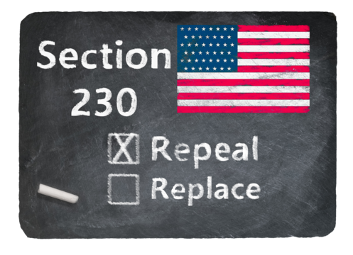 Section 230 And Banned Chemicals:  A Landmark EBay Case
