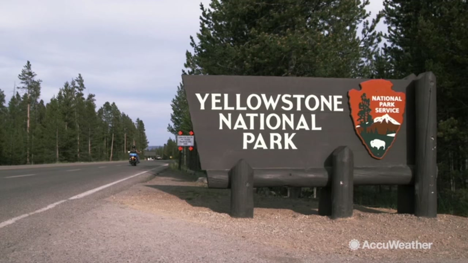 Seven Dead In Tragic Yellowstone National Park Area Vehicle Collision Seven Dead In Tragic Yellowstone National Park Area Vehicle Collision