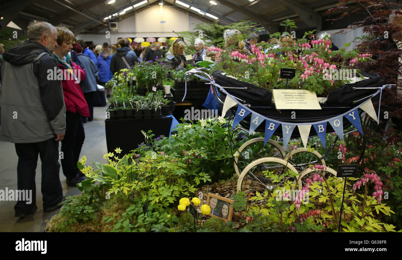 Spring Into Bloom: The Harrogate Flower Show Is Back In 2025 Spring Into Bloom: The Harrogate Flower Show Is Back In 2025