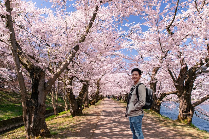 Springwatch: Exploring Japan's Cherry Blossom Time Springwatch: Exploring Japan's Cherry Blossom Time