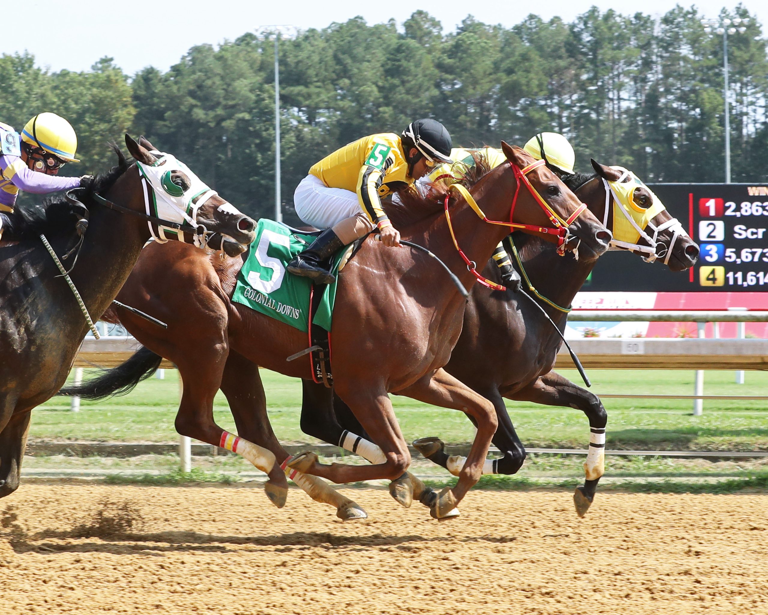 Stone Announces Virginia Derby At Colonial Downs Race Track Stone Announces Virginia Derby At Colonial Downs Race Track