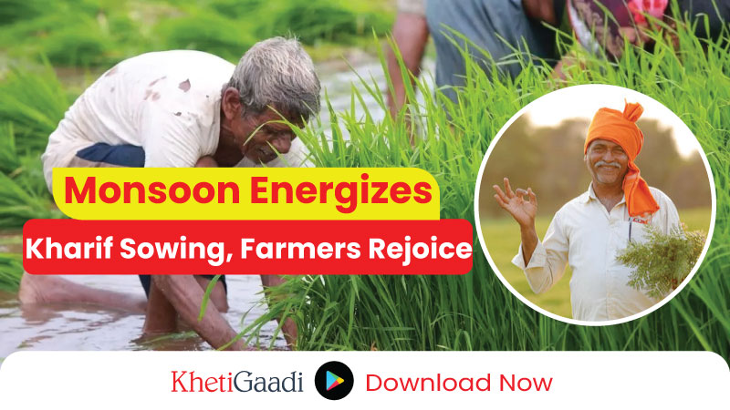 Strong Monsoon Prediction To Fuel Growth In India's Farm Sector Strong Monsoon Prediction To Fuel Growth In India's Farm Sector
