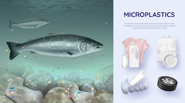 Studio Sulla Distribuzione Delle Microplastiche Nelle Diverse Fonti D'acqua Studio Sulla Distribuzione Delle Microplastiche Nelle Diverse Fonti D'acqua