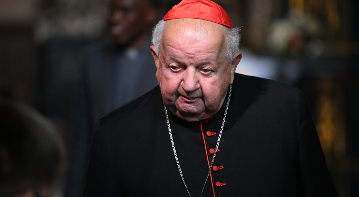 Sukces Jacka Harłukowicza: 5 Publikacji Onetu Z Największym Zasięgiem W 2024 Sukces Jacka Harłukowicza: 5 Publikacji Onetu Z Największym Zasięgiem W 2024