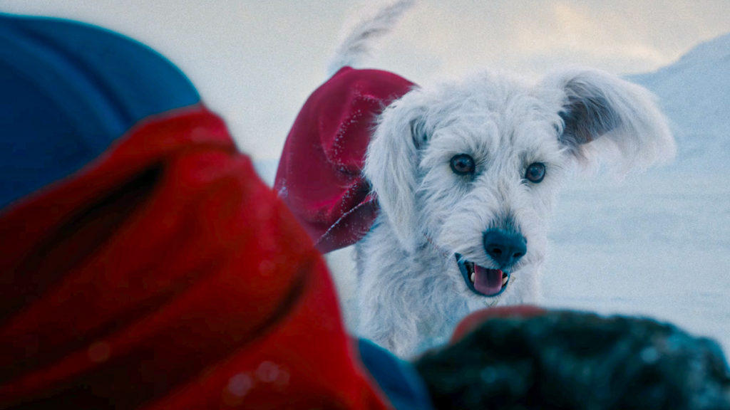 Summer Of Superman: Krypto's Surprise Appearance Summer Of Superman: Krypto's Surprise Appearance