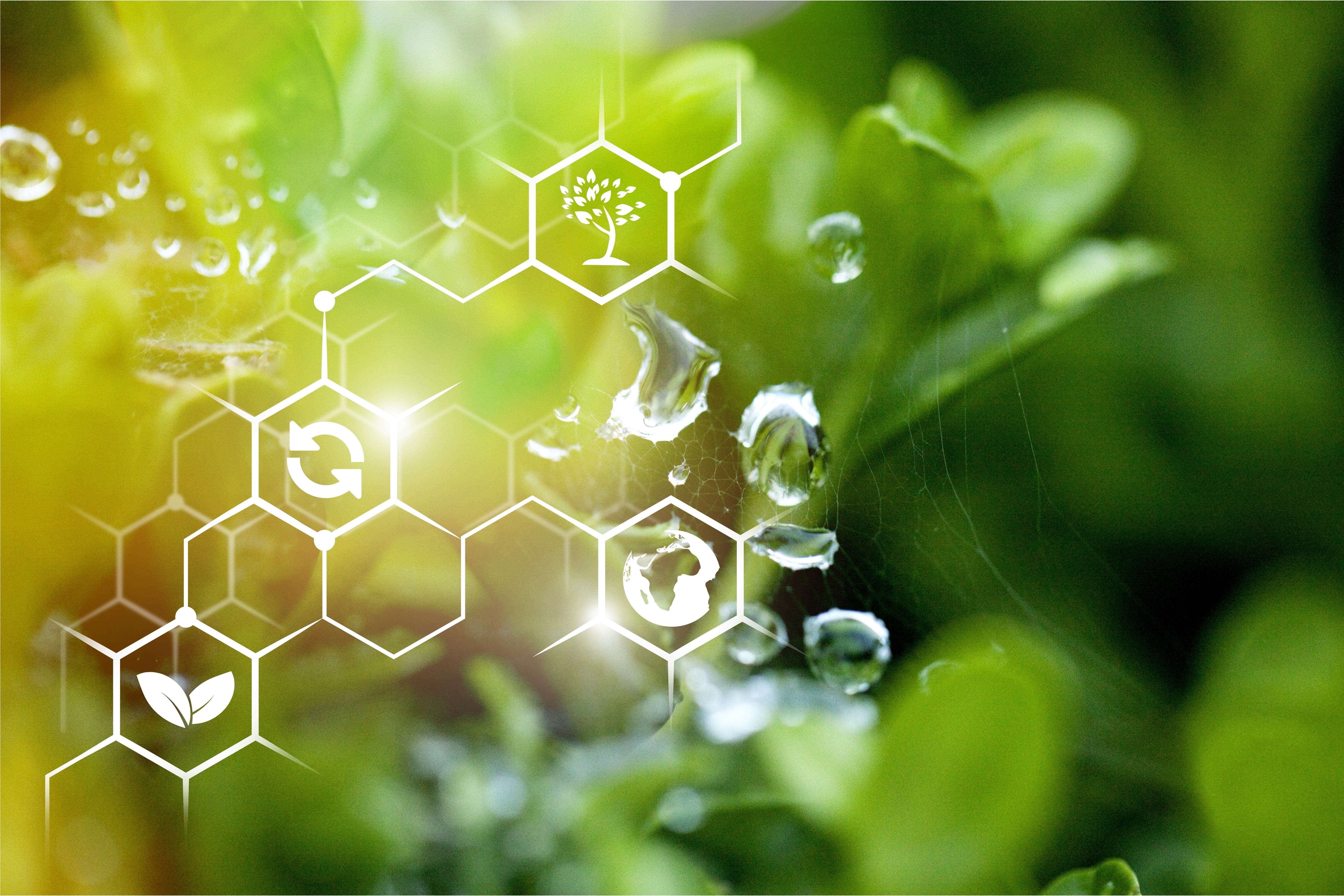 Support For Sustainable SMEs: Funding Options And Resources Support For Sustainable SMEs: Funding Options And Resources