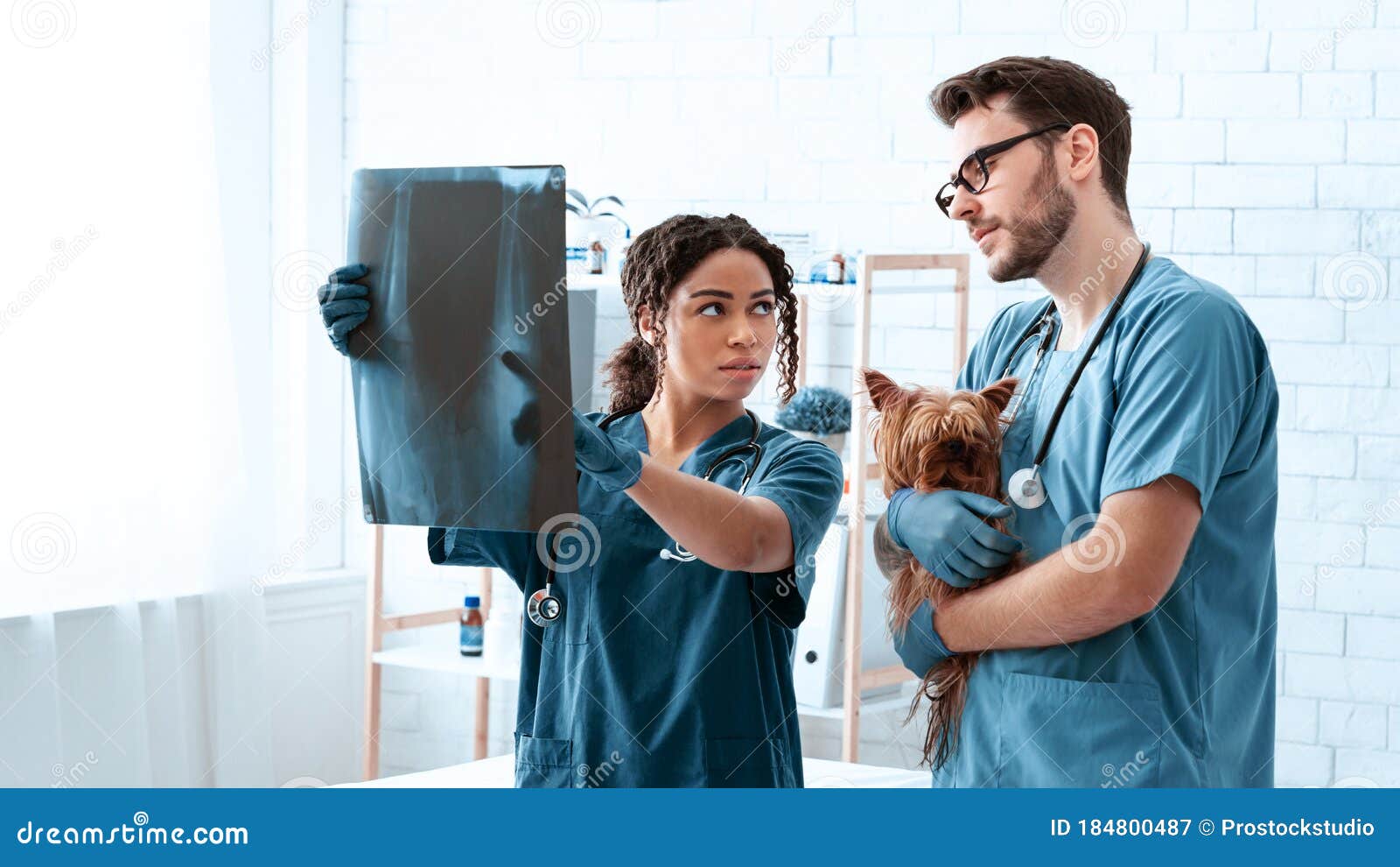 Tain Offers Temporary Space For Rogart Veterinary Practice After Fire Tain Offers Temporary Space For Rogart Veterinary Practice After Fire
