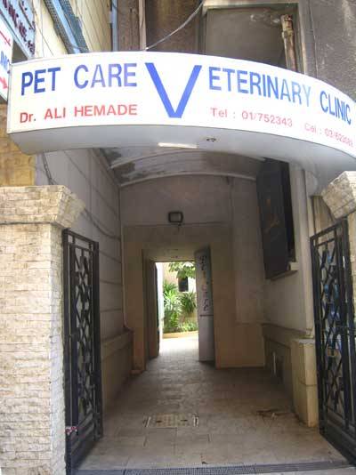 Tain Provides Temporary Home For Rogart Veterinary Clinic Post-Fire Tain Provides Temporary Home For Rogart Veterinary Clinic Post-Fire