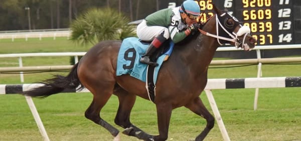 Tampa Bay Derby 2025: Expert Picks And Betting Strategies For The Road To The Kentucky Derby Tampa Bay Derby 2025: Expert Picks And Betting Strategies For The Road To The Kentucky Derby