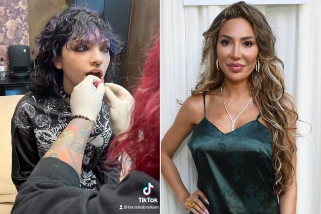 Teen Mom And Beyond: Examining Farrah Abraham's Life After The Show