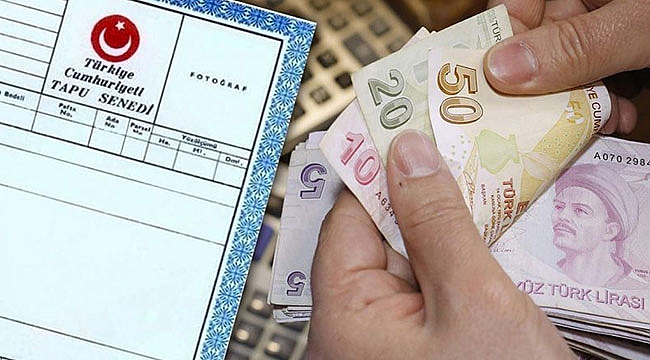 Tenisin Kralı: Novak Djokovic'in 186 Milyon Dolarlık Geliri Nasıl Oluştu? Tenisin Kralı: Novak Djokovic'in 186 Milyon Dolarlık Geliri Nasıl Oluştu?