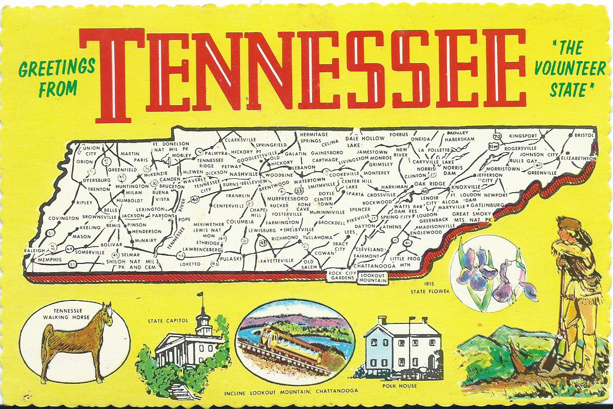 Tennessee Volunteers Rout Indiana State Sycamores 12-1 Tennessee Volunteers Rout Indiana State Sycamores 12-1