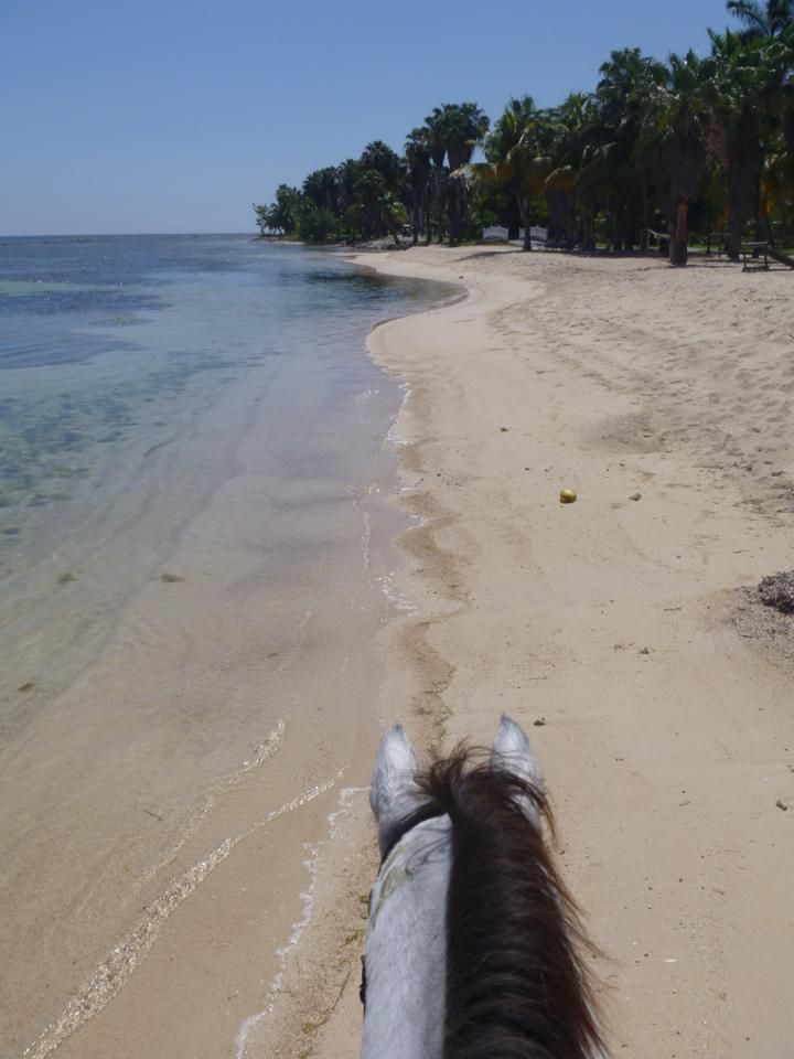 The Allure Of Montego Bay, Jamaica The Allure Of Montego Bay, Jamaica