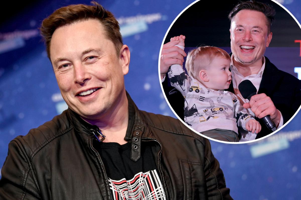 The Amber Heard-Elon Musk Twins: A Timeline Of The Fatherhood Question The Amber Heard-Elon Musk Twins: A Timeline Of The Fatherhood Question