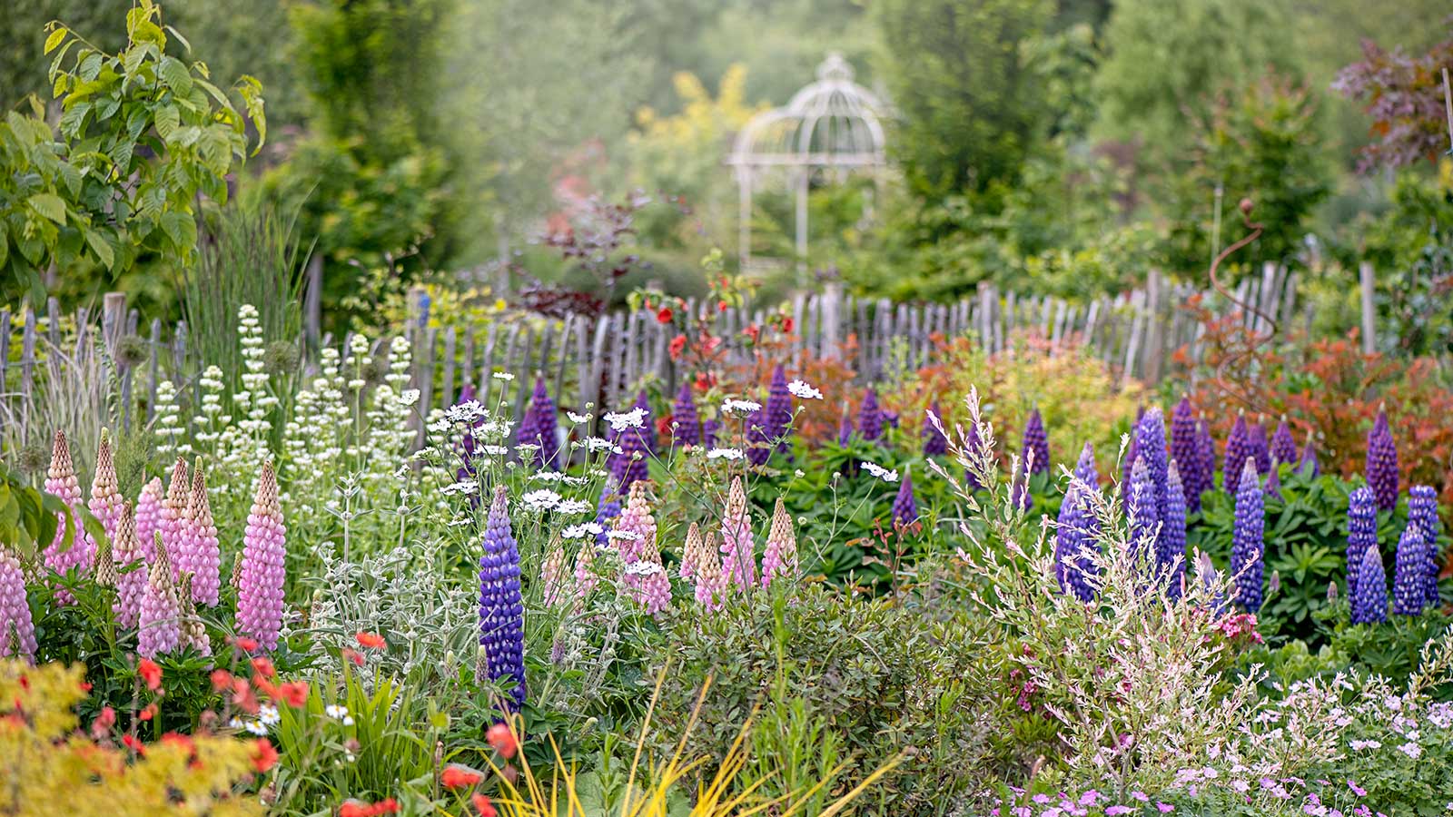 The Annual Vs. Perennial Debate: Selecting The Ideal Flowers For Your Needs The Annual Vs. Perennial Debate: Selecting The Ideal Flowers For Your Needs