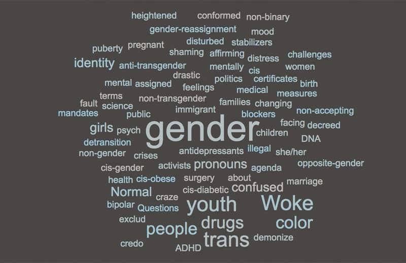 The Bangkok Post And The Push For Transgender Rights: An Analysis The Bangkok Post And The Push For Transgender Rights: An Analysis