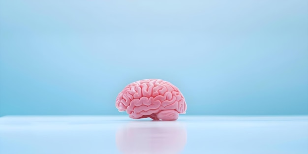 The Complexities Of ADHD: Exploring Inside Our ADHD Minds The Complexities Of ADHD: Exploring Inside Our ADHD Minds