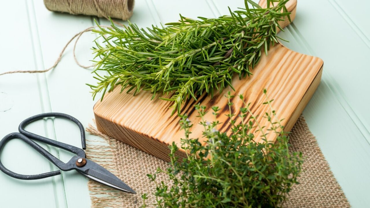 The Culinary Uses Of Rosemary And Thyme: A Comprehensive Overview The Culinary Uses Of Rosemary And Thyme: A Comprehensive Overview