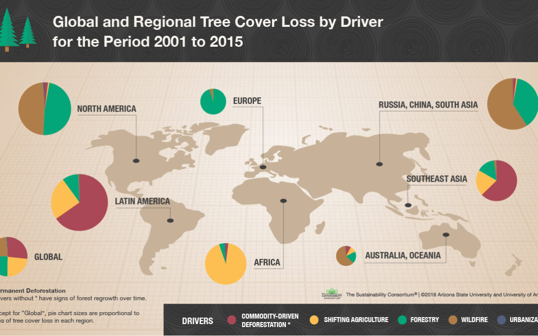 The Devastating Impact Of Wildfires: Global Forest Loss At An All-Time High The Devastating Impact Of Wildfires: Global Forest Loss At An All-Time High