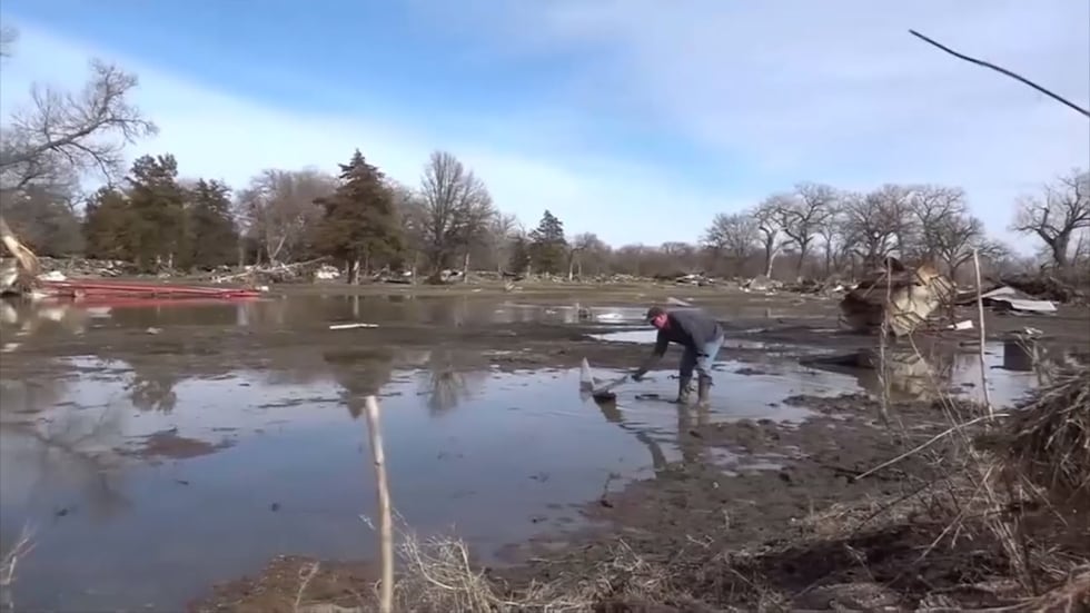 The Economic Impact Of Flooding On Livestock Production The Economic Impact Of Flooding On Livestock Production