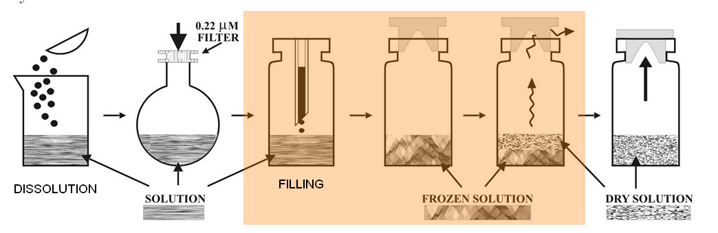 The Future Of Automated Visual Inspection For Lyophilized Vials The Future Of Automated Visual Inspection For Lyophilized Vials