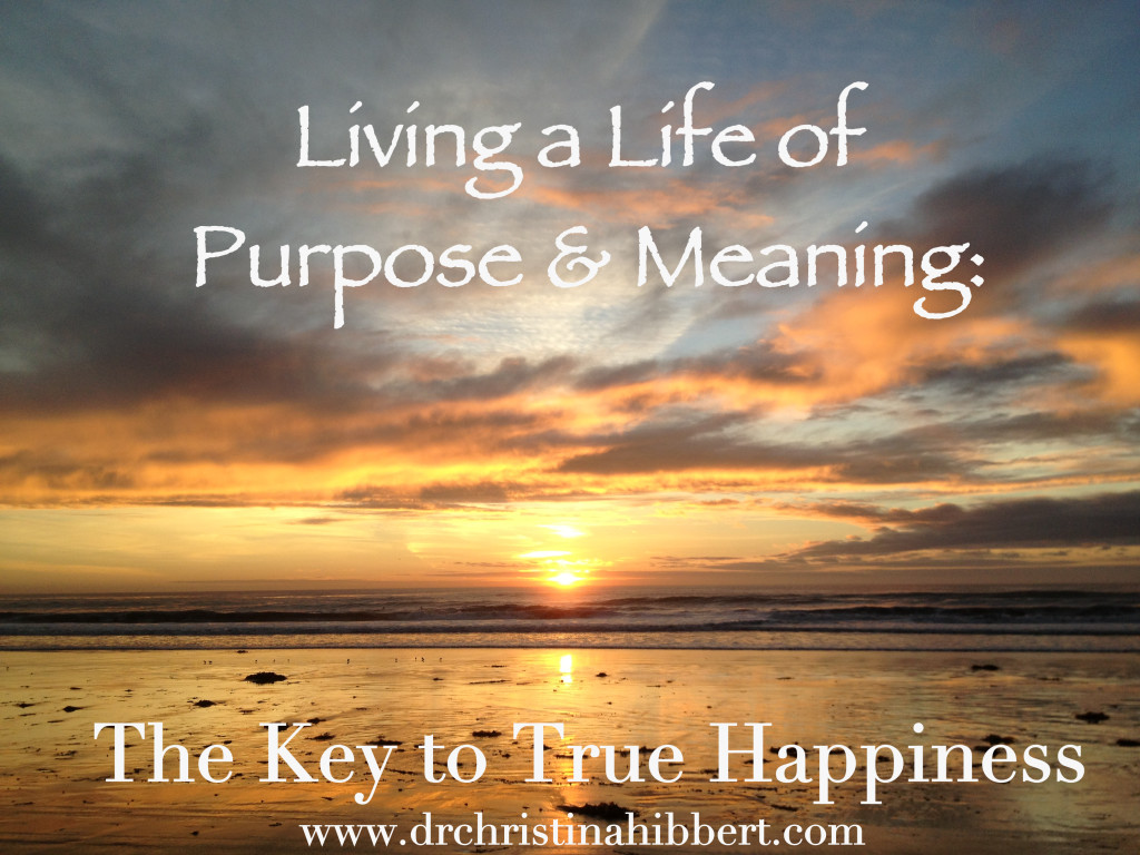 The Good Life: Finding Purpose And Meaning In Everyday Life The Good Life: Finding Purpose And Meaning In Everyday Life
