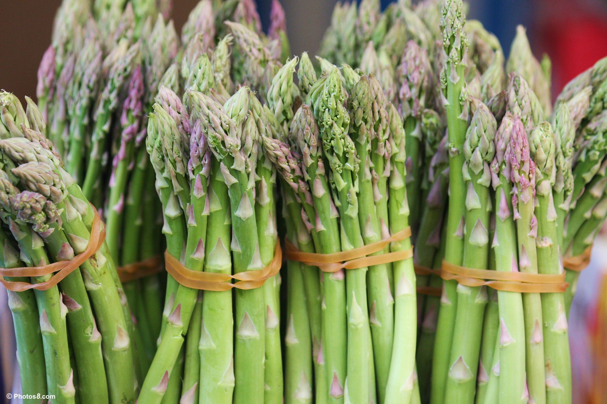 The Impact Of Asparagus On Your Health: A Detailed Analysis