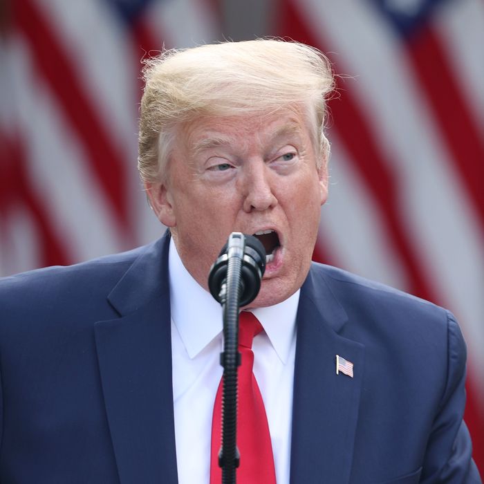 The Impact Of Trump's Cuts On Museum Funding And Programming The Impact Of Trump's Cuts On Museum Funding And Programming