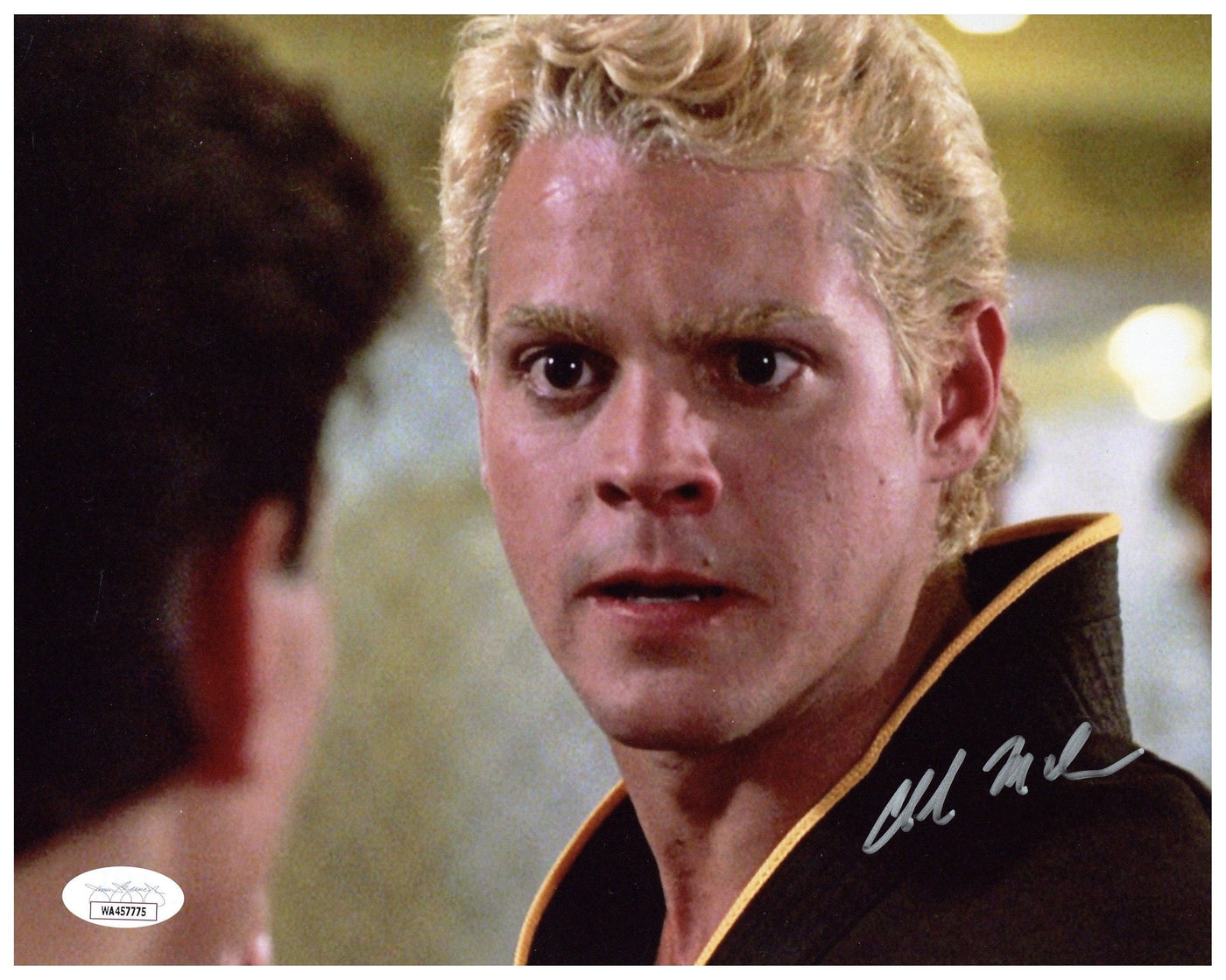 The Karate Kid And Cobra Kai: Exploring The Netflix Connection The Karate Kid And Cobra Kai: Exploring The Netflix Connection