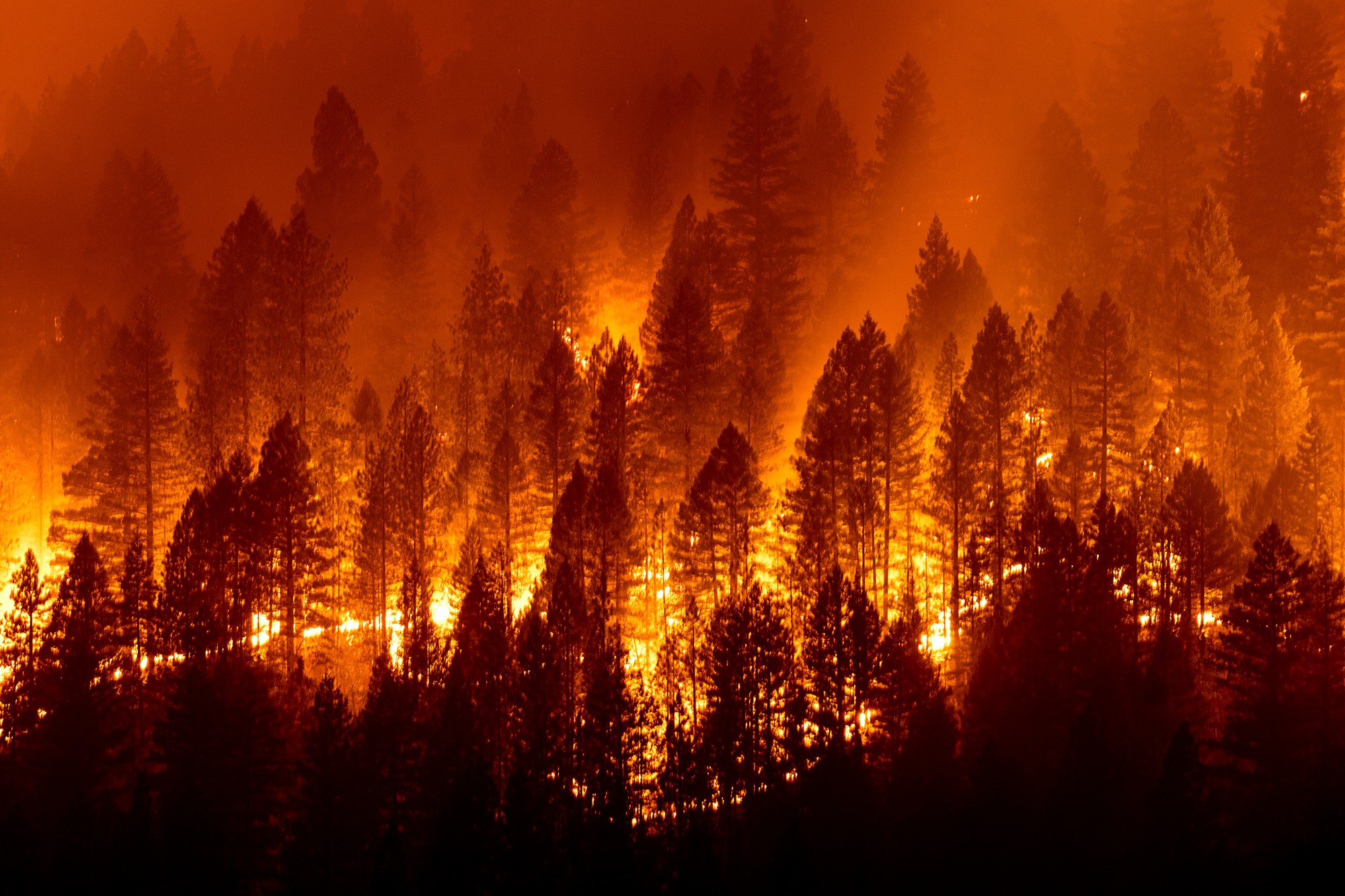 The LA Wildfires: A Reflection Of Our Times Through Disaster Betting The LA Wildfires: A Reflection Of Our Times Through Disaster Betting