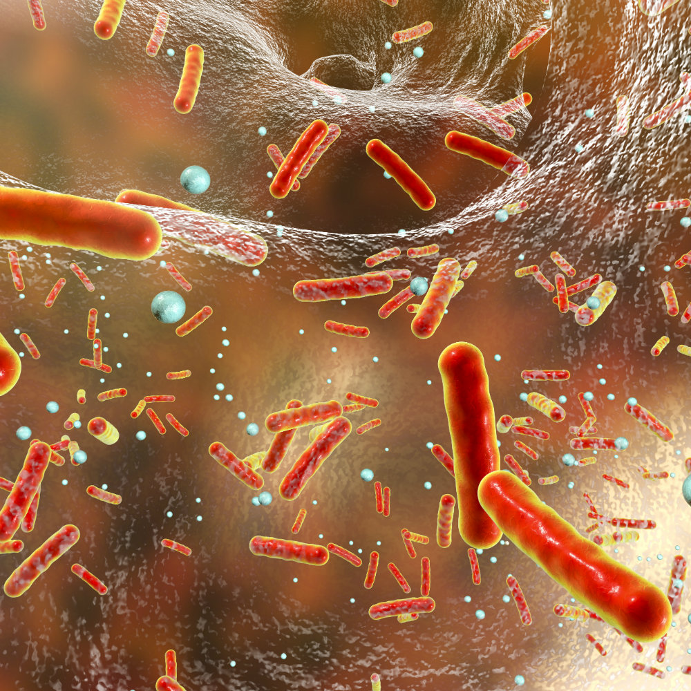 The Next Superbug Crisis: The Threat Of Deadly Fungi The Next Superbug Crisis: The Threat Of Deadly Fungi