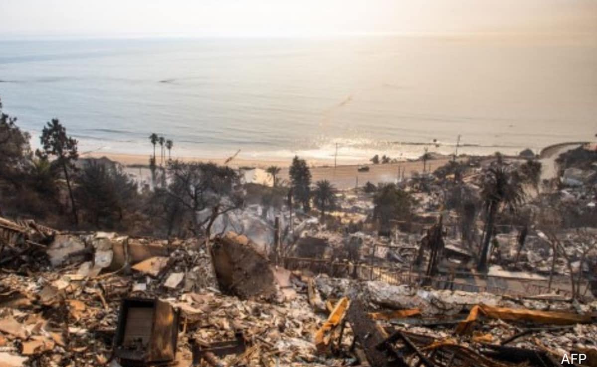 The Perils Of Predictability: Examining The Trend Of Betting On The Los Angeles Wildfires The Perils Of Predictability: Examining The Trend Of Betting On The Los Angeles Wildfires