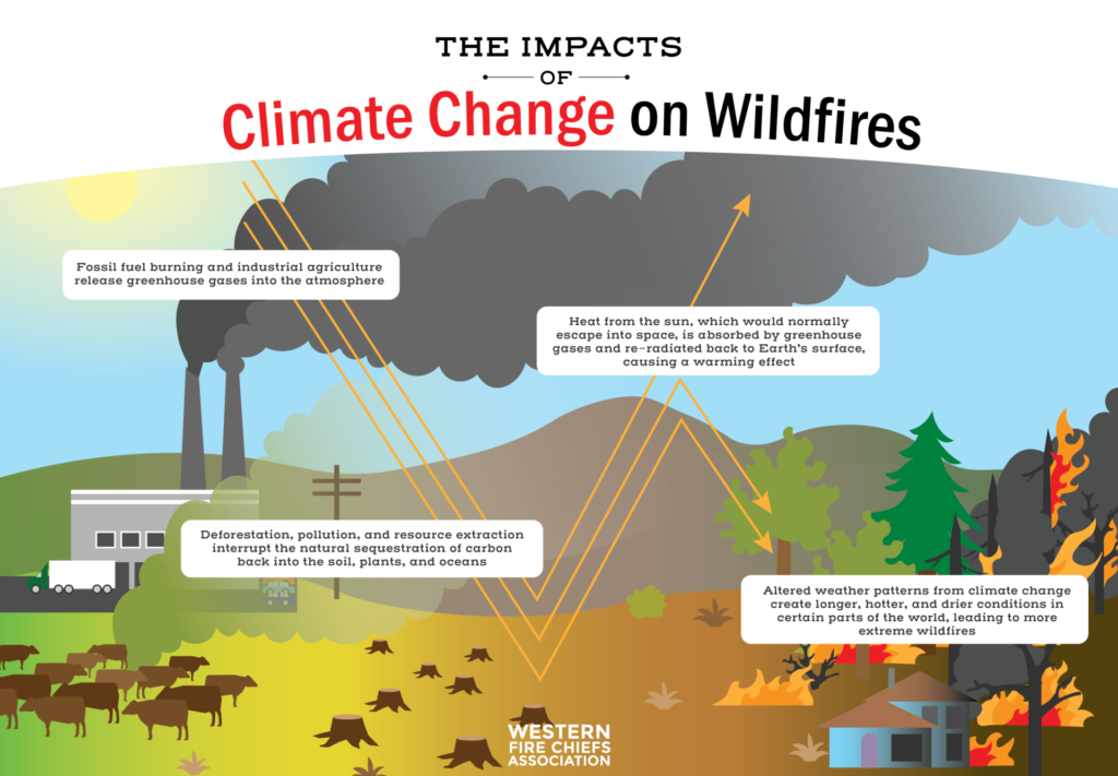 The Rise Of Disaster Betting: Focusing On The LA Wildfires The Rise Of Disaster Betting: Focusing On The LA Wildfires