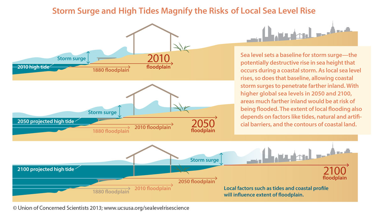 The Rising Tide: How Global Sea Level Rise Impacts Coastal Areas The Rising Tide: How Global Sea Level Rise Impacts Coastal Areas