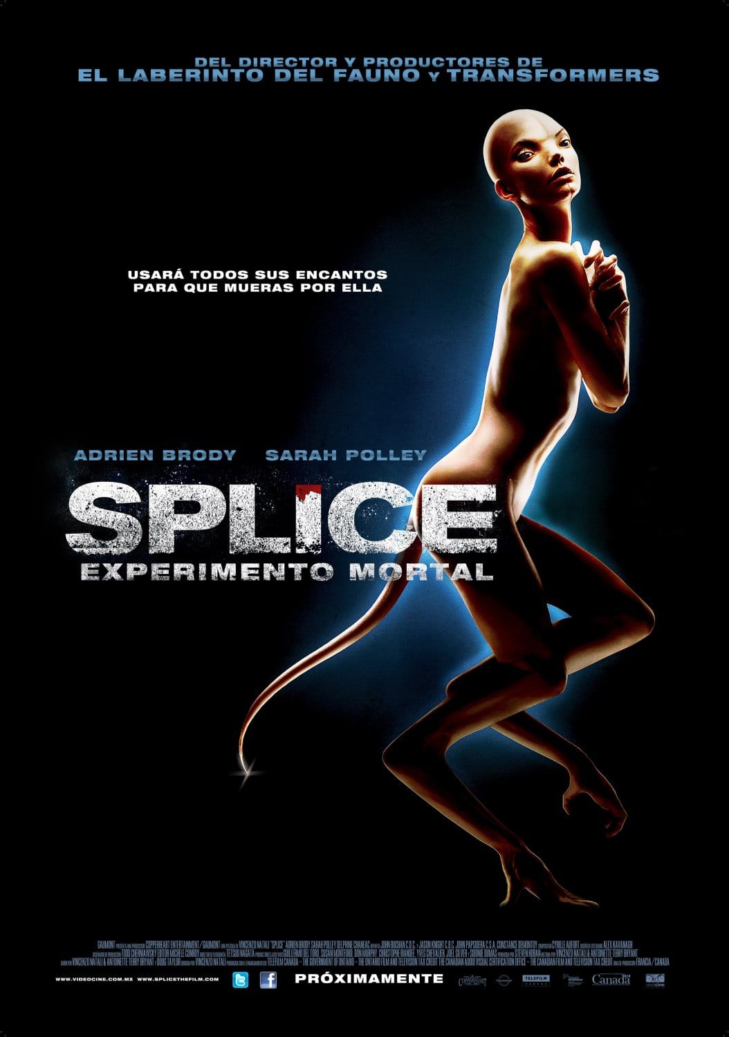 The Splice Film: A CayFest Highlight The Splice Film: A CayFest Highlight