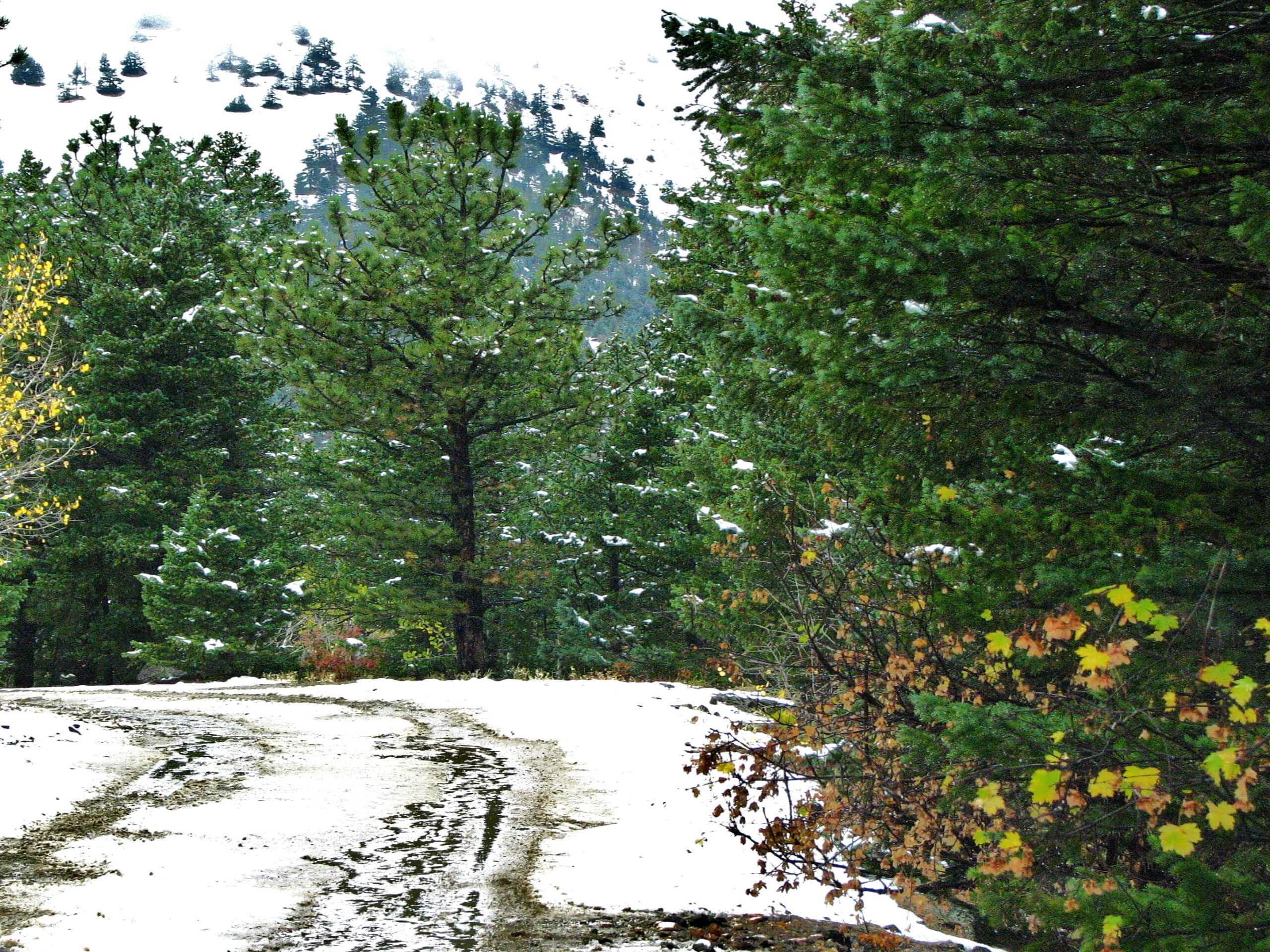 The Switzerland Trail, Boulder County: Unveiling Its Mining Past The Switzerland Trail, Boulder County: Unveiling Its Mining Past