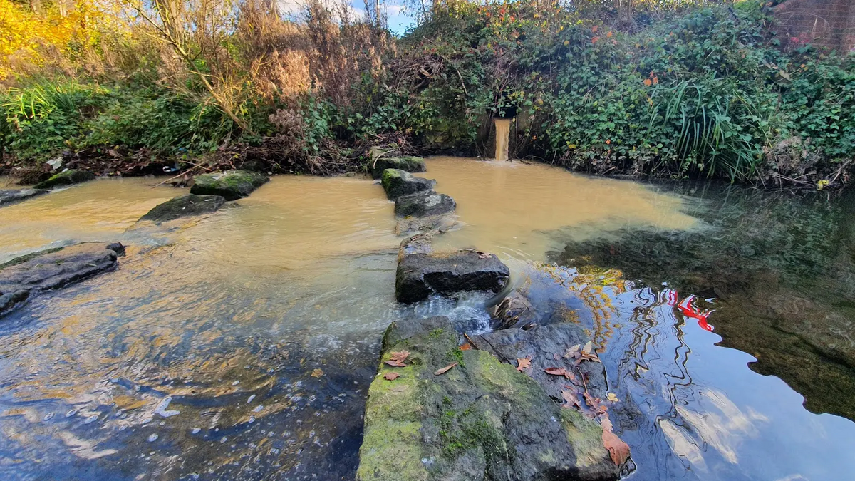 The Thames Water Bonus Scandal:  A Critical Analysis