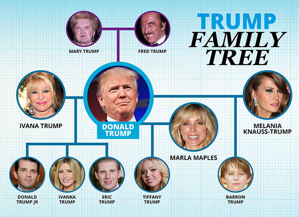 The Trump Family Tree: A New Addition With Tiffany And Michael's Baby The Trump Family Tree: A New Addition With Tiffany And Michael's Baby