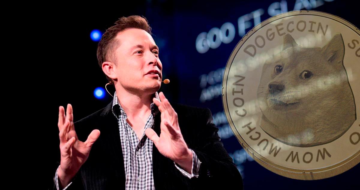 The Truth About Elon Musk And Dogecoin The Truth About Elon Musk And Dogecoin