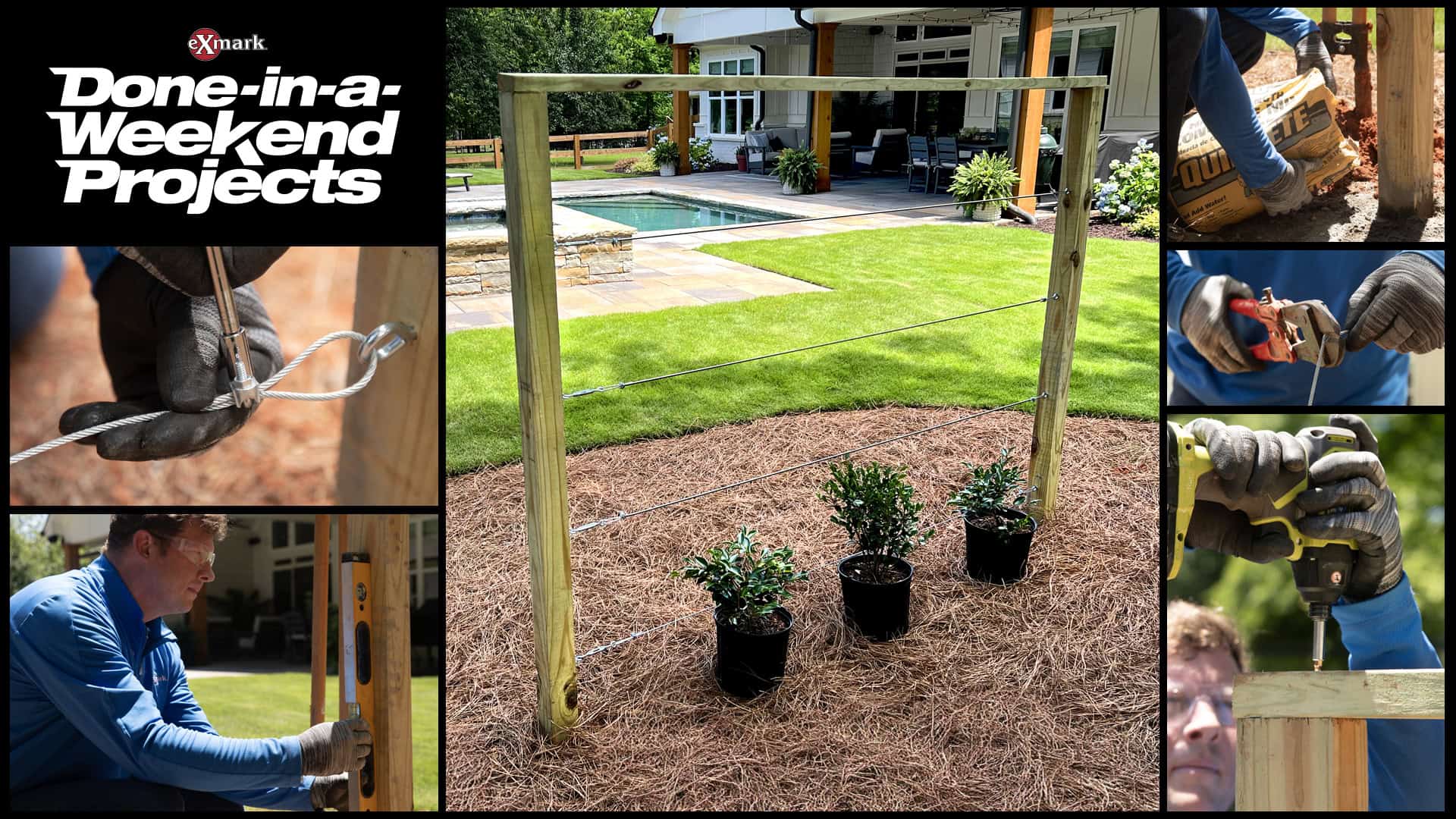 The Ultimate Guide To Building A Living Fence The Ultimate Guide To Building A Living Fence