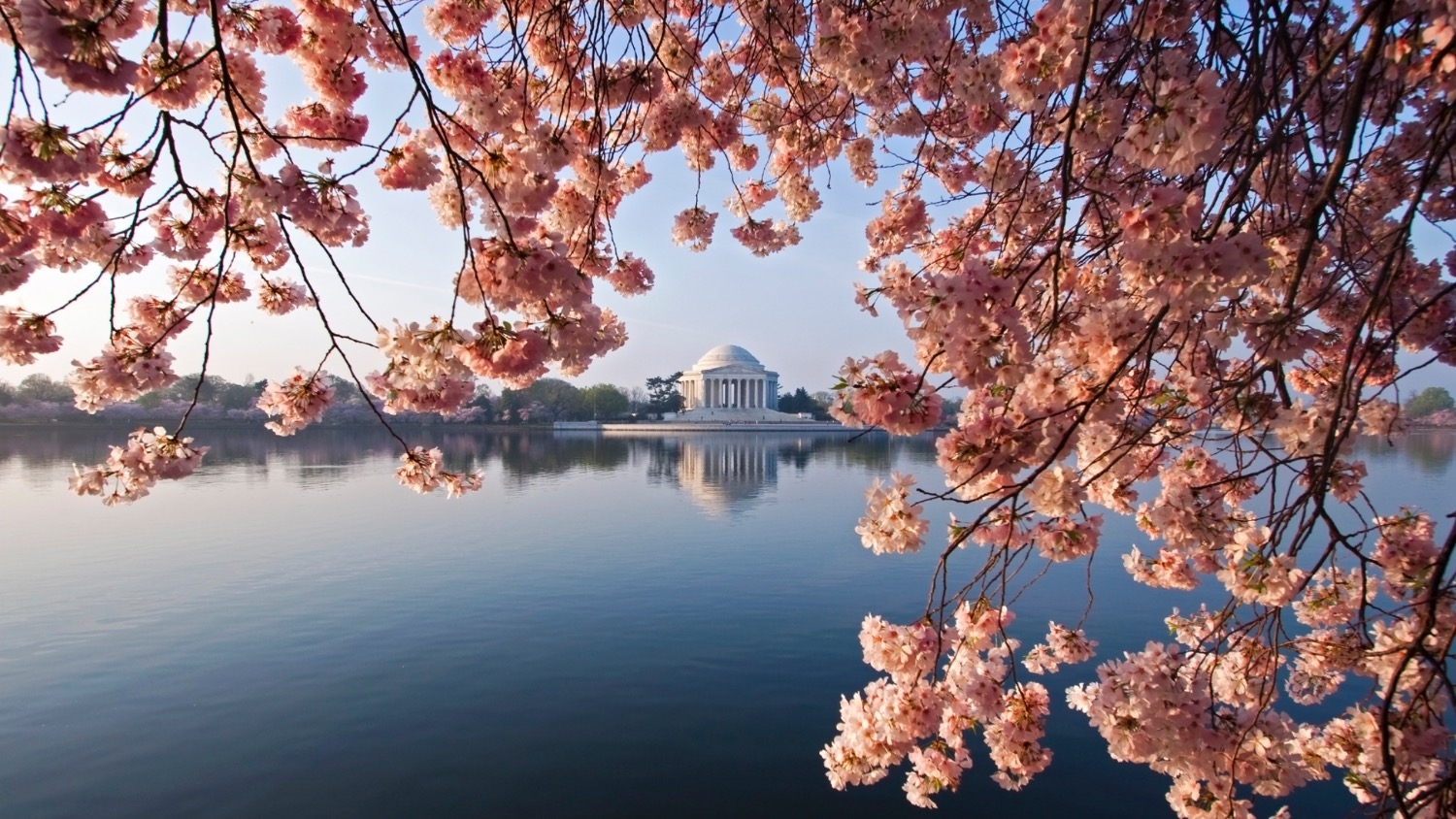 Top 500 Influencers In Washington, DC: 2025 Edition Top 500 Influencers In Washington, DC: 2025 Edition
